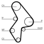 CONTINENTAL CTAM CT1061 Correa dentada