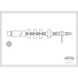 CORTECO 19026370 Tubo flexible de frenos