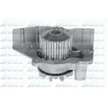 DOLZ C117 Bomba de agua, refrigeración del motor