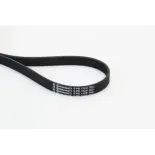 CONTINENTAL CTAM 6PK1120 Correa trapecial poli V