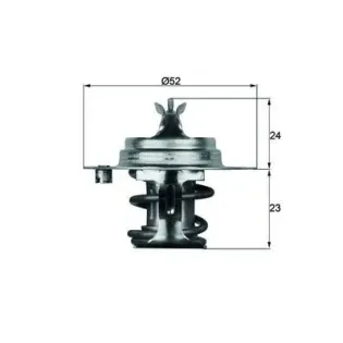 MAHLE TX 7 83D Termostato, refrigerante