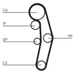 CONTINENTAL CTAM CT1028 Correa dentada