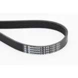 CONTINENTAL CTAM 6PK1153 Correa trapecial poli V