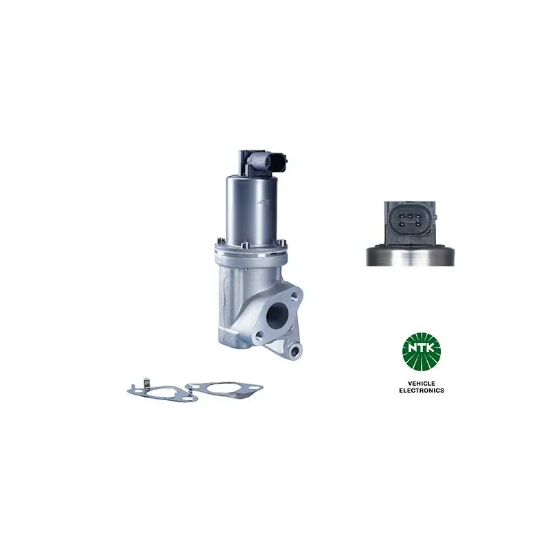 NTK 95819 Válvula EGR