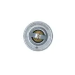 NRF 725214 Termostato, refrigerante