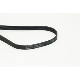 CONTINENTAL CTAM 6PK1590 Correa trapecial poli V