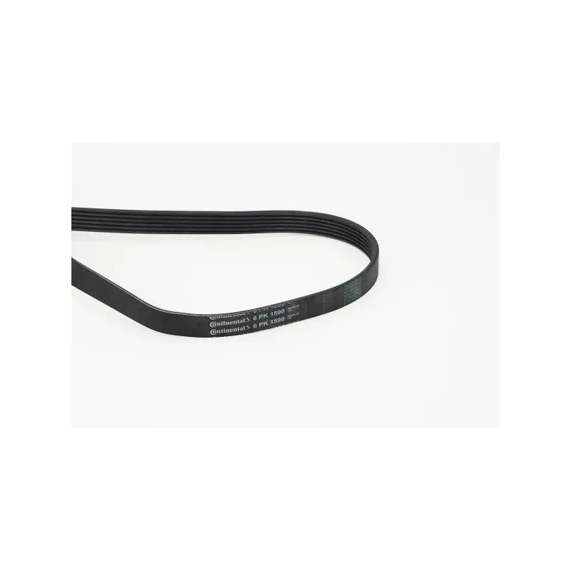 CONTINENTAL CTAM 6PK1590 Correa trapecial poli V