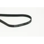 CONTINENTAL CTAM 6PK1590 Correa trapecial poli V