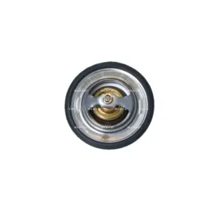 NRF 725149 Termostato, refrigerante