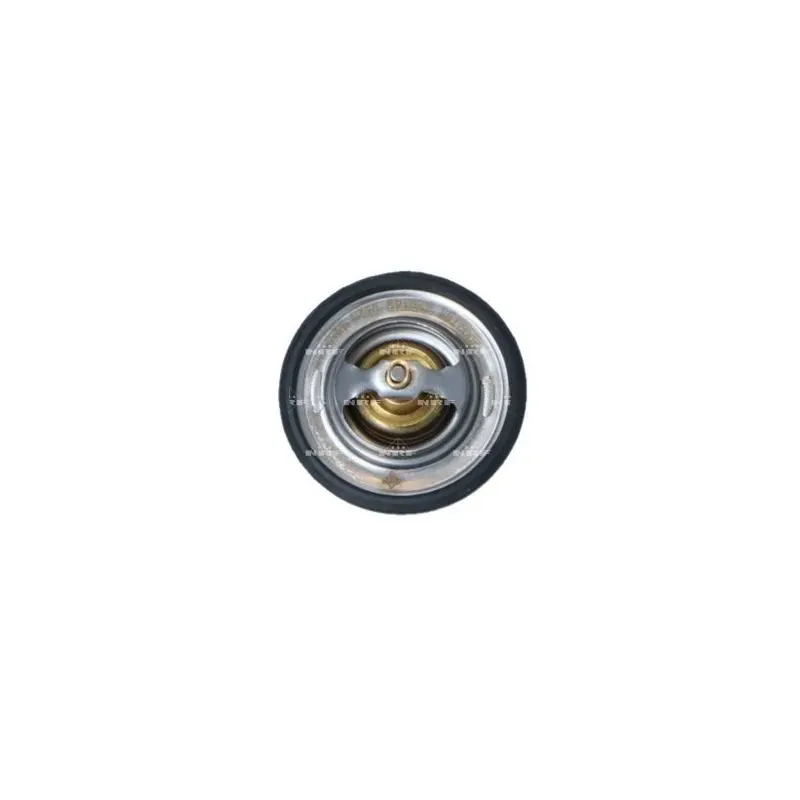 NRF 725149 Termostato, refrigerante