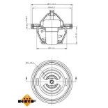 NRF 725149 Termostato, refrigerante