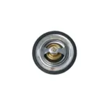 NRF 725149 Termostato, refrigerante