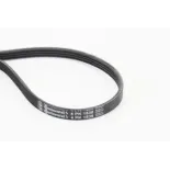 CONTINENTAL CTAM 4PK1538 Correa trapecial poli V