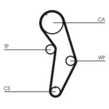 CONTINENTAL CTAM CT908 Correa dentada