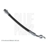BLUE PRINT ADT353238 Tubo flexible de frenos