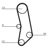 CONTINENTAL CTAM CT503 Correa dentada