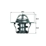 MAHLE TX 14 87D Termostato, refrigerante