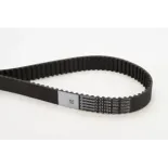 CONTINENTAL CTAM CT1134 Correa dentada