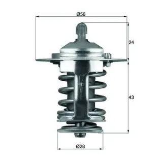 MAHLE TX 70 82 Termostato, refrigerante