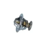 NRF 725303 Termostato, refrigerante