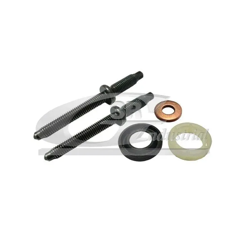 3RG 81293 Juego de juntas, inyector