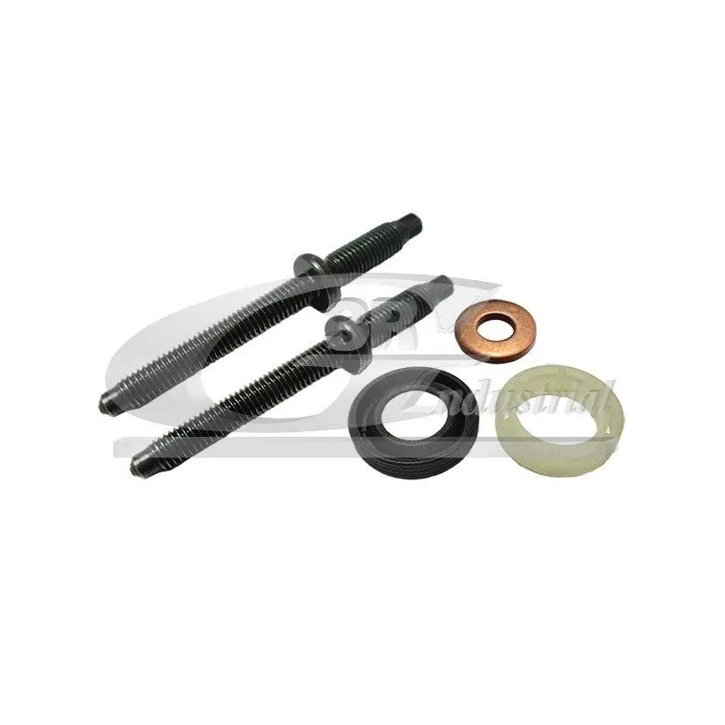 3RG 81298 Juego de juntas, inyector