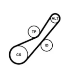 CONTINENTAL CTAM 6PK800K1 Juego de correas trapeciales poli V