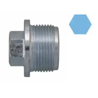 CORTECO 220152S Tapón roscado, colector de aceite