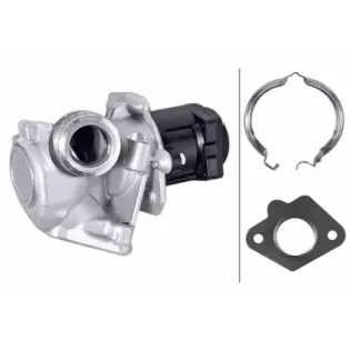 HELLA 6NU 010 171-101 Válvula EGR