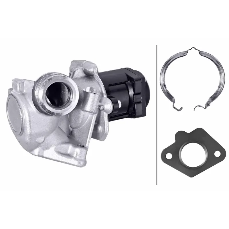 HELLA 6NU 010 171-101 Válvula EGR