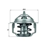 MAHLE TX 64 82 Termostato, refrigerante
