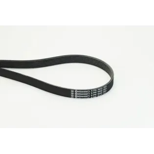 CONTINENTAL CTAM 6PK1642 Correa trapecial poli V