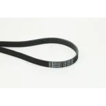 CONTINENTAL CTAM 6PK1642 Correa trapecial poli V