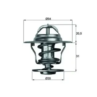 MAHLE TX 13 71D Termostato, refrigerante