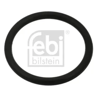 FEBI BILSTEIN 100998 Junta tórica, tapón roscado de vaciado de aceite