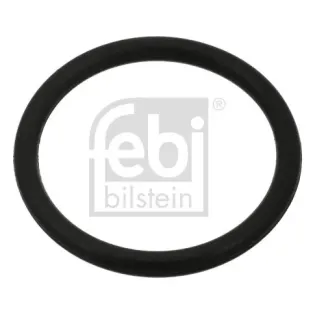 FEBI BILSTEIN 100999 Junta tórica, tapón roscado de vaciado de aceite