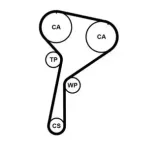 CONTINENTAL CTAM CT1184 Correa dentada