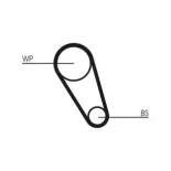 CONTINENTAL CTAM CT1185 Correa dentada