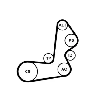 CONTINENTAL CTAM 6PK1515K1 Juego de correas trapeciales poli V