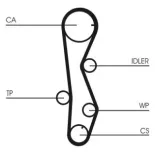 CONTINENTAL CTAM CT1099 Correa dentada