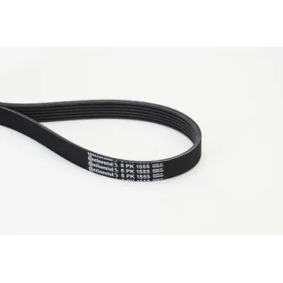 CONTINENTAL CTAM 6PK1555 Correa trapecial poli V