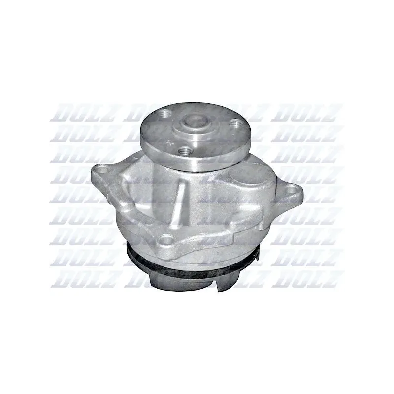 DOLZ F141 Bomba de agua, refrigeración del motor