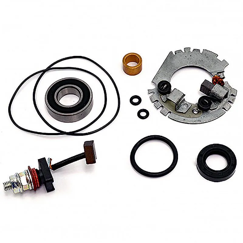 Kit Revisión Motor De Arranque Con Portaescobillas - 04178491