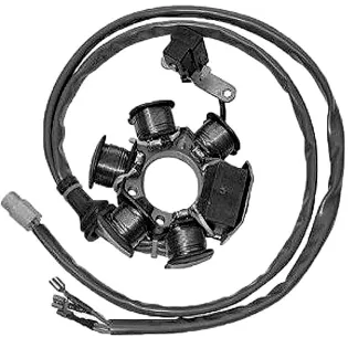 Stator Sgr 6 Polos 12V 90W (Motor Piaggio 50 2T) - 04293499