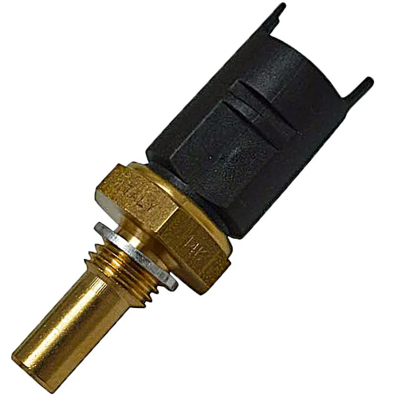 Sensor Temperatura Agua Bmw F650Gs - 04027844