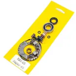 Kit Revisión Motor De Arranque Con Portaescobillas - 04178492