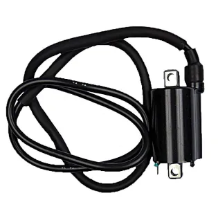 Bobina 12V - Cc - 4.5 Ohm - 2 Fastons - Con Cable - 04010559