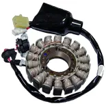 Stator Sgr Trifase 18 Polos Con Pick-Up 2 Cables X - 04163077