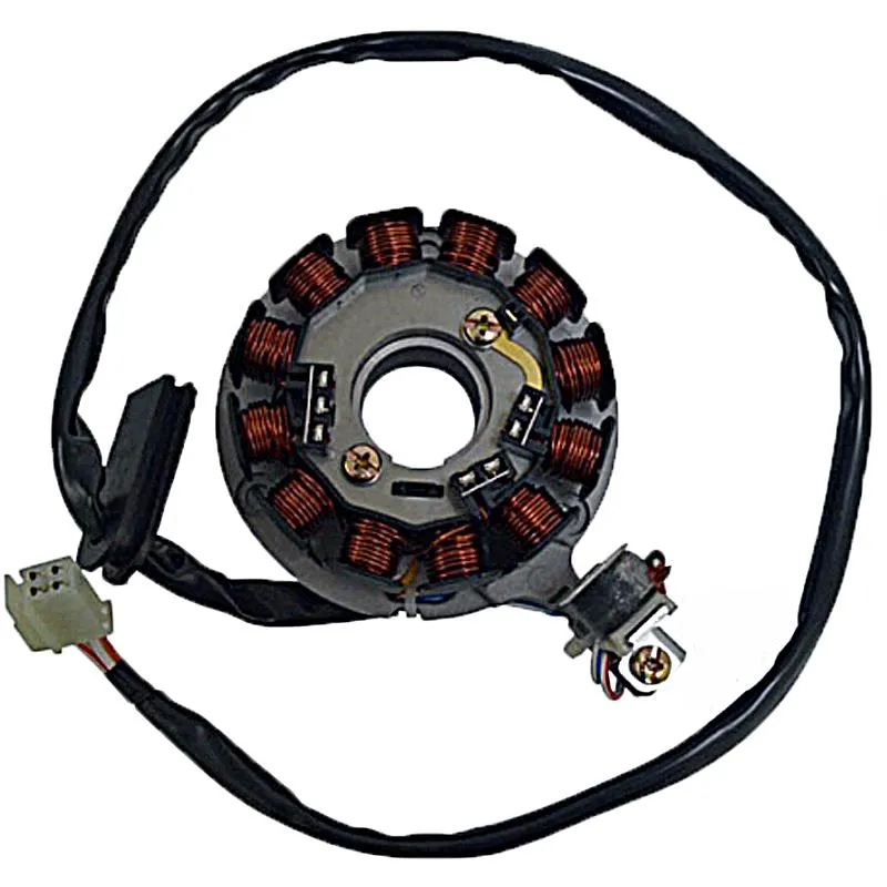 Stator Sgr 12 Polos Con Pick-Up Y Con Soporte (Mot - 04163082