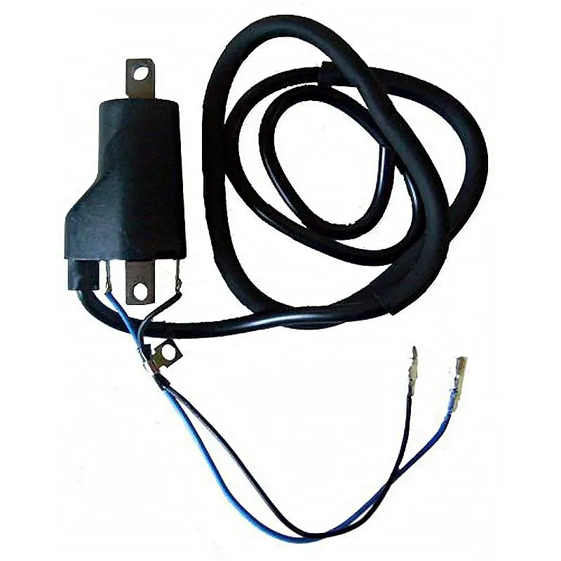 Bobina 12V - Cc - 4.0 Ohm - 2 Fastons - Con Cable - 04004761